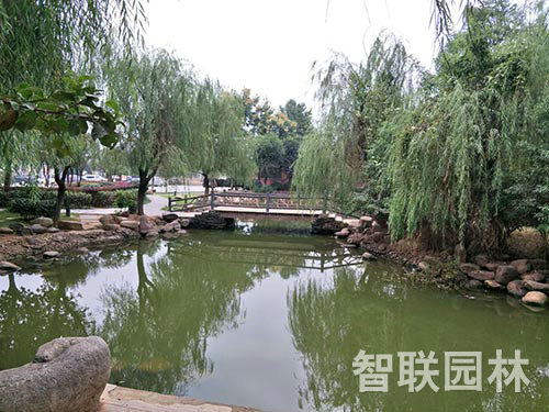 公園綠化2